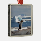 Pinguïn voor een ijsboog metalen ornament (Rechts)
