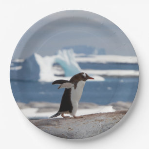 Pinguïn voor een ijsboog papieren bordje