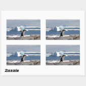 Pinguïn voor een ijsboog rechthoekige sticker (Vel)