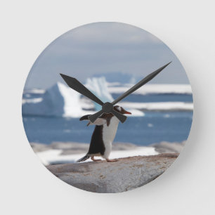 Pinguïn voor een ijsboog ronde klok
