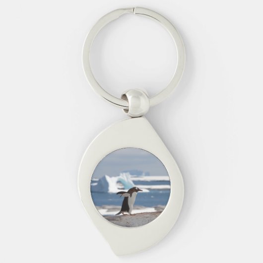 Pinguïn voor een ijsboog sleutelhanger (Voorkant)