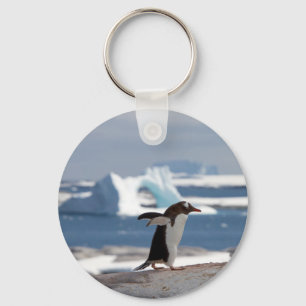 Pinguïn voor een ijsboog sleutelhanger
