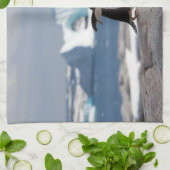 Pinguïn voor een ijsboog theedoek (Gevouwen)