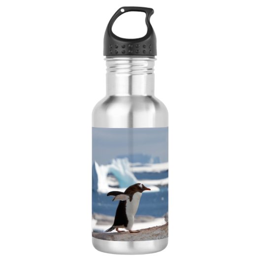 Pinguïn voor een ijsboog waterfles (Voorkant)