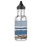 Pinguïn voor een ijsboog waterfles (Rechts)