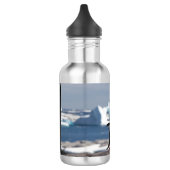 Pinguïn voor een ijsboog waterfles (Links)
