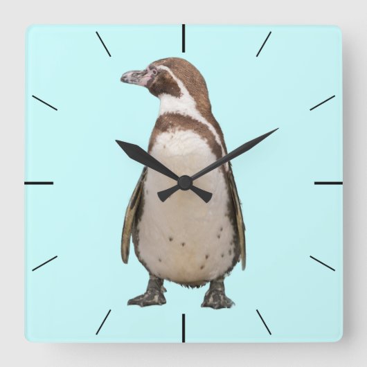 Pinguïn Wandklok (Voorkant)