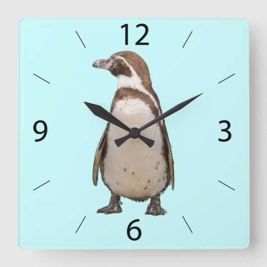 Pinguïn Wandklok (Voorkant)