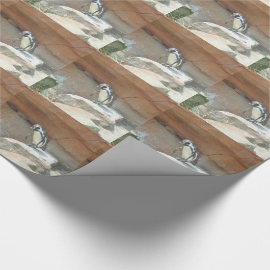 Pinguïn, wilde dieren, wilde vogels, dierentuin, z cadeaupapier (Hoek)