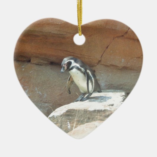 Pinguïn, wilde dieren, wilde vogels, dierentuin, z keramisch ornament (Voorkant)