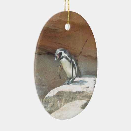 Pinguïn, wilde dieren, wilde vogels, dierentuin, z keramisch ornament (Rechts)