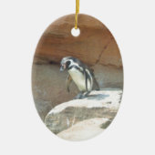 Pinguïn, wilde dieren, wilde vogels, dierentuin, z keramisch ornament (Voorkant)
