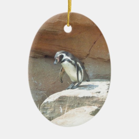 Pinguïn, wilde dieren, wilde vogels, dierentuin, z keramisch ornament (Voorkant)