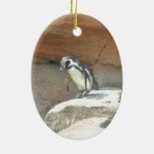 Pinguïn, wilde dieren, wilde vogels, dierentuin, z keramisch ornament (Achterkant)