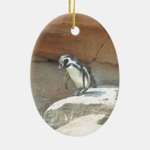 Pinguïn, wilde dieren, wilde vogels, dierentuin, z keramisch ornament
