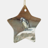 Pinguïn, wilde dieren, wilde vogels, dierentuin, z keramisch ornament (Rechts)