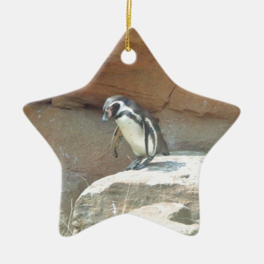 Pinguïn, wilde dieren, wilde vogels, dierentuin, z keramisch ornament (Voorkant)