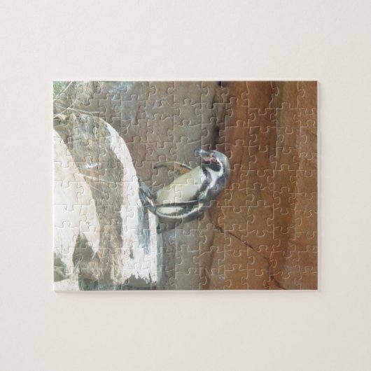 Pinguïn, wilde dieren, wilde vogels, dierentuin, z legpuzzel (Horizontaal)