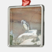 Pinguïn, wilde dieren, wilde vogels, dierentuin, z metalen ornament (Links)