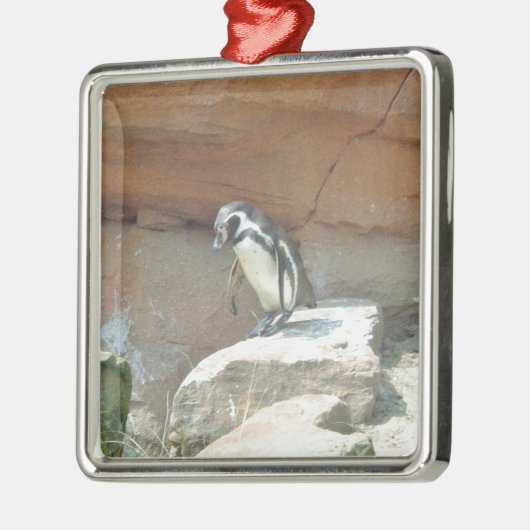 Pinguïn, wilde dieren, wilde vogels, dierentuin, z metalen ornament (Links)