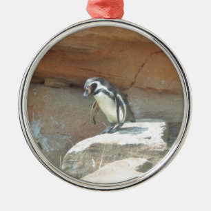 Pinguïn, wilde dieren, wilde vogels, dierentuin, z metalen ornament