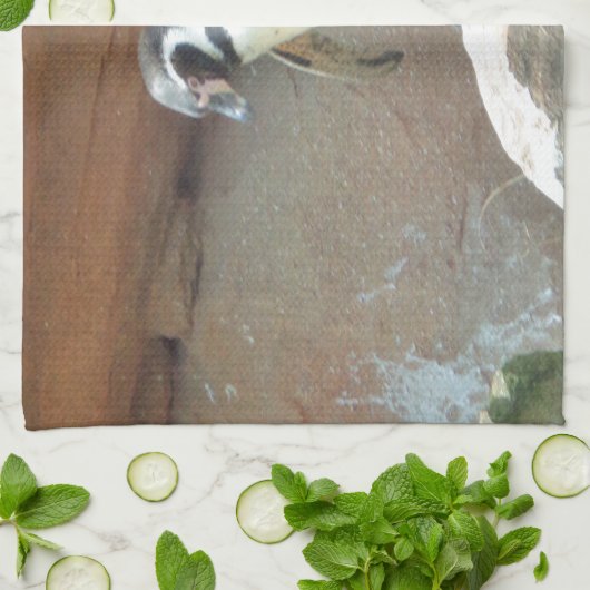 Pinguïn, wilde dieren, wilde vogels, dierentuin, z theedoek (Gevouwen)