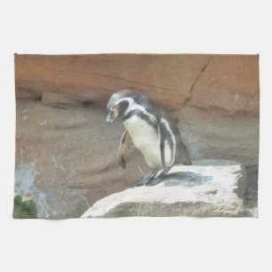 Pinguïn, wilde dieren, wilde vogels, dierentuin, z theedoek
