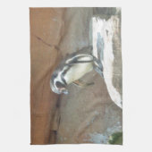 Pinguïn, wilde dieren, wilde vogels, dierentuin, z theedoek (Verticaal)