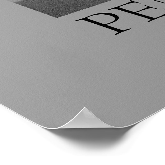 pinguïn ~ zwart-wit poster (Hoek)