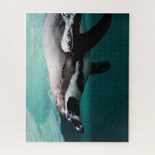 Pinguïn zwemmen, puzzel legpuzzel (Verticaal)