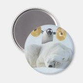 Pinguïnalarm Magneet (Voorkant / Achterkant)