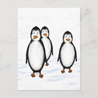 Pinguine Briefkaart
