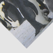 pinguïnfamilie tissuepapier (Detail)