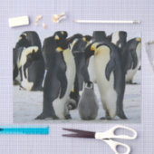 pinguïnfamilie tissuepapier (Craft)