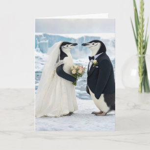Pinguïnhuwelijk op een Arctische gletsjer Kaart
