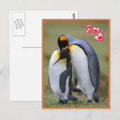 Pinguïnliefde Briefkaart (Voorkant / Achterkant)
