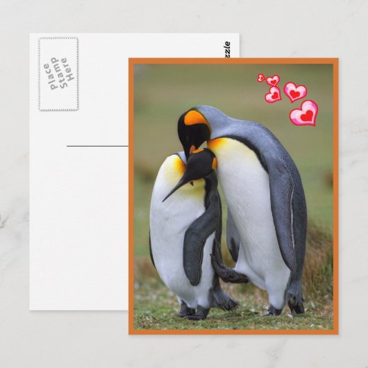 Pinguïnliefde Briefkaart (Voorkant / Achterkant)