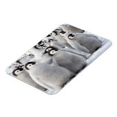 Pinguïnmaatjes Magneet (Linkerzijde)