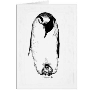 Pinguïnmoeder en chick