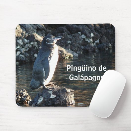 Pinguino de Galapagos Muismat (Met muis)