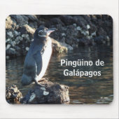 Pinguino de Galapagos Muismat (Voorkant)