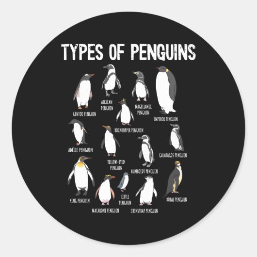 Pinguïnpinguïns van de wereld Soorten pinguïns Ronde Sticker (Voorkant)