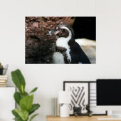 Pinguïnposter Poster (Thuiskantoor)
