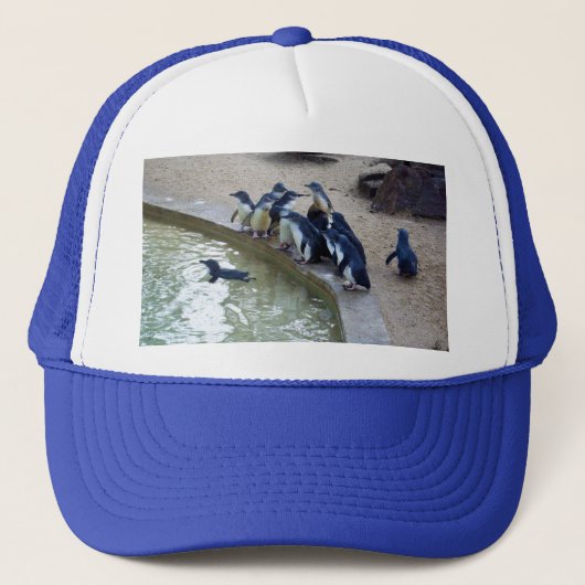 Pinguïnrelay: Pinguïnzwemteam, Trucker Pet (Voorkant)