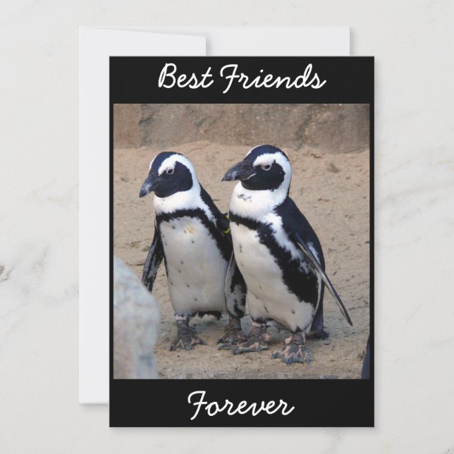 pinguïns (Voorkant)