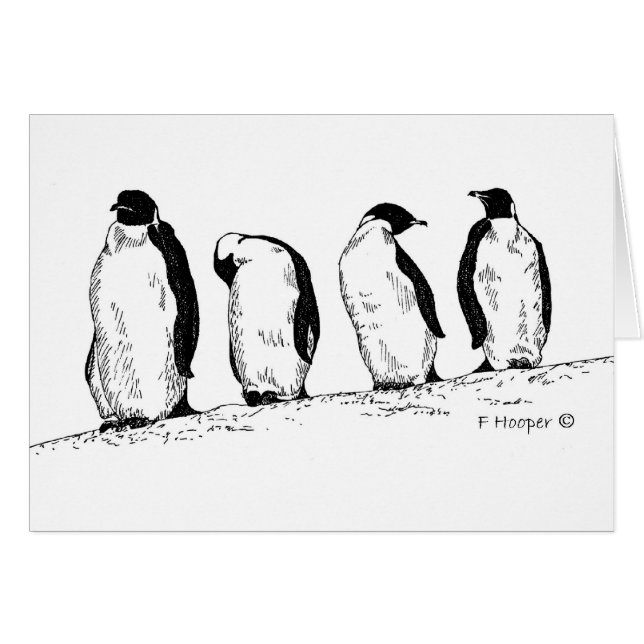 pinguïns (Voorkant Horizontaal)