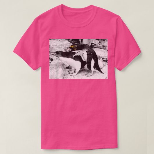 Pinguïns 2 t-shirt (Design voorkant)