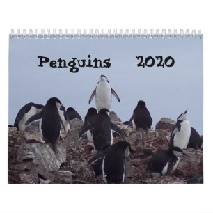 Pinguïns - Agenda 2020 Kalender