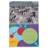 Pinguïns - Agenda 2020 Kalender (Jan 2027)