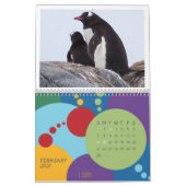 Pinguïns - Agenda 2020 Kalender (Feb 2027)